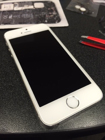 blogger image 1004362600