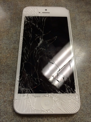 blogger image 668124590