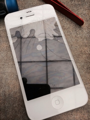 blogger image 1645365249