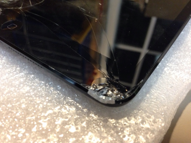 blogger image 313289398