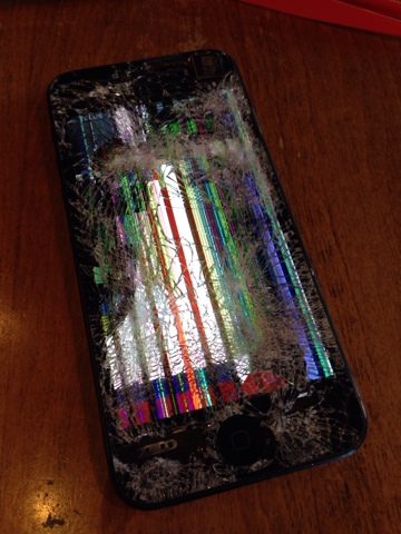 blogger image 87427448